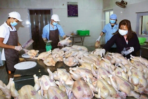 Nhiều bất cập trong quản lý an toàn thực phẩm