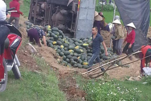 Hà Tĩnh: Người dân giúp tài xế gom 20 tấn dưa đỏ khi xe tải lật xuống ruộng