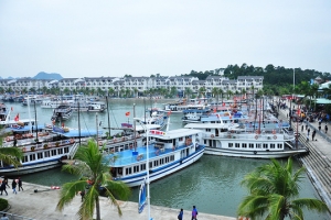 Đắm tàu du lịch trong âu cảng quốc tế Tuần Châu