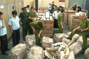 Ban chỉ đạo 389 Hà Nội: Xử lý hàng nghìn vụ vi phạm