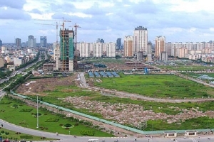 Xét đúng đối tượng áp dụng giảm 50% tiền thuê đất
