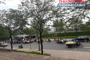 Chợ tự phát và vấn đề ATVSTP (TP. HCM) - Bài 3: Những "vòi bạch tuộc"...