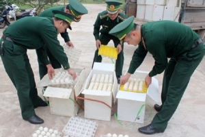 Đồn Biên phòng Bắc Sơn: Bắt giữ 24.000 quả trứng gà nhập lậu