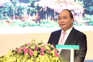 Đẩy mạnh cổ phần hóa, chống tình trạng "sân trước, sân sau" tại DNNN