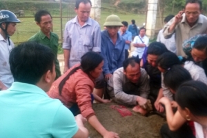 Sét đánh trúng nhà, một phụ nữ nguy kịch