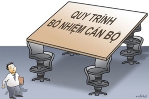 Tăng cường thanh tra công vụ, tập trung vào việc bổ nhiệm cán bộ