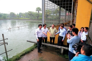 Công ty Cổ phần Supe PP&HC Lâm Thao: Quan tâm công tác bảo vệ môi trường