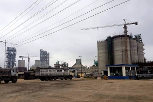 NM Xi măng Long Sơn: Những sai phạm cần sớm kiểm tra, xử lý