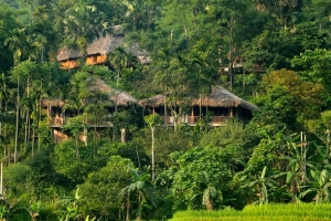 Phó Thủ tướng Trương Hòa Bình: Yêu cầu tỉnh Thanh Hóa kiểm tra Khu du lịch Pù Luông Retreat