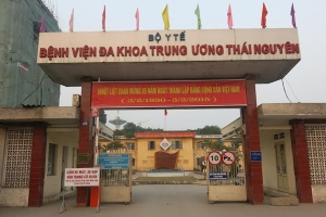 Lấy khúc gỗ ra khỏi hốc mắt