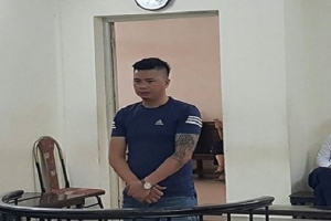 Lĩnh 12 năm tù vì vận chuyển ngà voi trái phép
