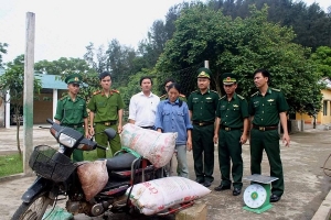 Hà Tĩnh: Gần 200 kg mỡ và nội tạng bốc mùi hôi thối bị bắt giữ