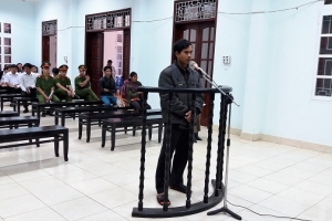 TP. Pleiku (Gia Lai): Hai đối tượng lãnh án vì phá rừng phòng hộ