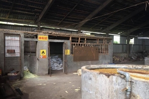 Tỉnh Hòa Bình yêu cầu nhà máy giấy Thuận Phát báo cáo phương án xử lý triệt để nước thải