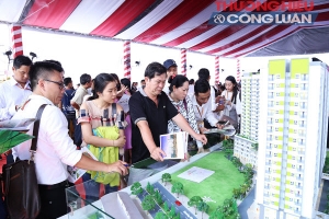 TP. HCM: HoRea kiến nghị về yêu cầu thanh tra, đình chỉ 60 dự án BĐS của Bộ Tài Chính