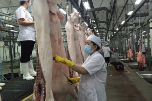 Cử tri và nhân dân cả nước kiến nghị 6 nhóm vấn đề tới Kỳ họp thứ 3, Quốc hội Khóa XIV