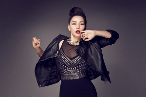 Thu Minh tổ chức liveshow tiền tỷ kỷ niệm 25 năm ca hát
