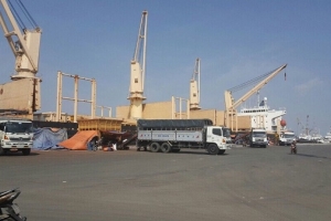 Giá phân bón thế giới lao dốc: Nông dân… càng buồn