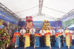 Khai trương Bảo Việt Đông Bắc