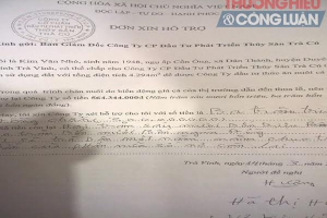 Trà Vinh: DN gian dối, nông dân điêu đứng - Bài 9: "Quýt làm, cam chịu"?