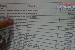Đồng Nai: Kết luận thanh tra Dự án Khu tập thể NM Dệt Thống Nhất