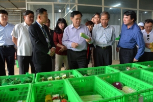 Phó Thủ tướng Vương Đình Huệ thăm mô hình SX ứng dụng NNCN cao tại Lâm Đồng