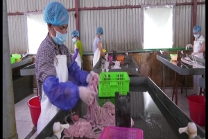 Lạng Sơn: Tiêu hủy 4,4 tấn thịt thủ lợn không bảo đảm VS ATTP