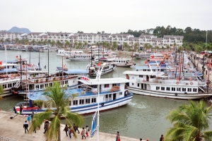 Quảng Ninh: Hơn 5.000 du khách mắc kẹt trên đảo do ảnh hưởng của bão số 2