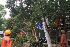 Nỗ lực cấp điện trở lại sau bão số 2 tại các tỉnh phía Bắc Trung Bộ