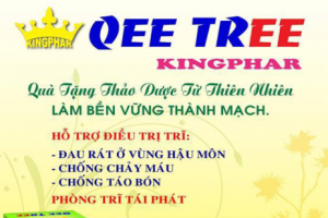 Xử phạt vi phạm hành chính Công ty Cổ phần Kingphar Việt Nam