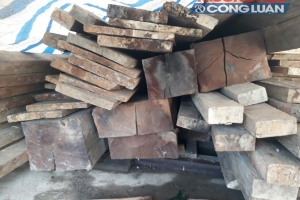 Phát hiện gỗ lậu quý hiếm trong “biệt phủ” trưởng ban quản lý rừng?