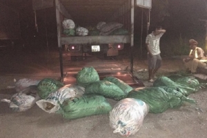 Nghệ An: Bắt giữ số lượng lớn mỡ bẩn, bốc mùi hôi thối