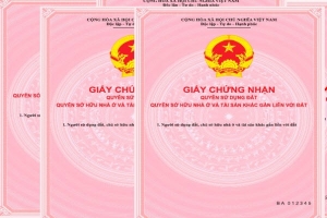 Đắk Nông: Một phó chủ tịch huyện bị cảnh cáo vì sai phạm trong quản lý đất đai