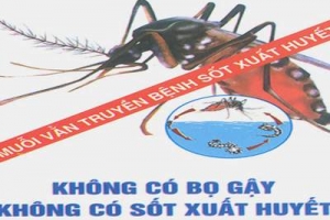 Hải Phòng: Chủ động kiểm soát dịch bệnh sốt xuất huyết bùng phát