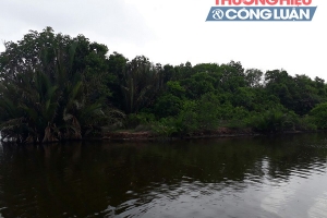 TX. Duyên Hải (Trà Vinh) kêu gọi đầu tư phát triển du lịch