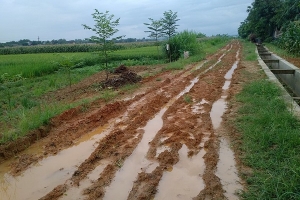 Phú Thọ: Công ty Thanh Lâm trúng thầu nhờ lãnh đạo huyện Phù Ninh “bật đèn xanh”?