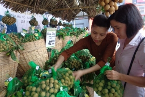 Khai mạc Tuần lễ Nhãn lồng Hưng Yên tại Hà Nội