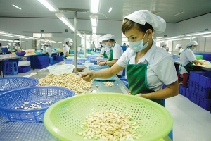 Kịp thời thông tin thay đổi trong chính sách nhập khẩu của Mỹ