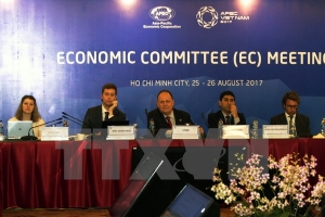 SOM 3 và các cuộc họp liên quan tiếp tục ngày làm việc thứ tám