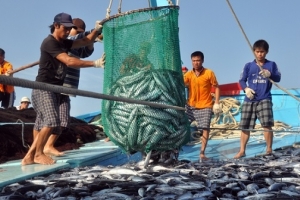 Hoàn thành dứt điểm bồi thường cho nhân dân 4 tỉnh miền Trung