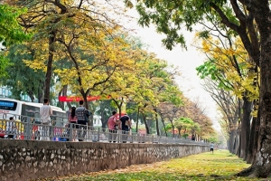 Dự báo thời tiết ngày 8/9: Bắc Bộ giảm mưa, trời có nắng trở lại