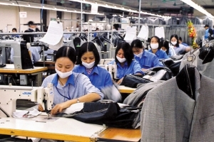 Khoảng 70% lao động trên 30 tuổi bị nghỉ việc: Tác động lớn đến an sinh xã hội