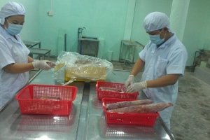 Cần Thơ: Phát triển chuỗi liên kết thủy sản