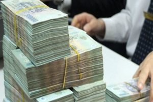 Dự án sai phạm ở Đồng Nai - Bài 2: Dấu hiệu chiếm đoạt hàng trăm tỷ đồng của cổ đông?