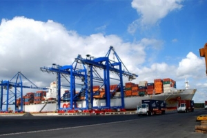 Bà Rịa - Vũng Tàu: Xúc tiến hỗ trợ doanh nghiệp mở rộng thị trường