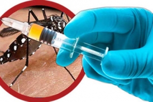 Năm 2018, Việt Nam sẽ có vắc xin phòng bệnh sốt xuất huyết