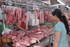 Truy xuất nguồn gốc thịt heo phải từ giống, thức ăn, thuốc tiêm