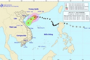 Bão số 11 sắp di chuyển vào Vịnh Bắc Bộ và suy yếu thành áp thấp nhiệt đới