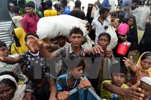 EU yêu cầu điều tra các vụ tấn công người Rohingya ở Myanmar