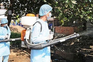 Hà Nội: Dịch sốt xuất huyết tiếp tục giảm